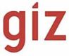 International Zusammenarbeit (GIZ) GmbH
